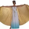 Forum Novelties Gold Goddess Theatrical Costume Wings -Bioworld Shop 68428 gold goddess theatrical costume wings