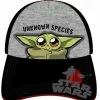Accessory Innovations Company Star Wars The Mandalorian The Child Unknown Species Baseball Hat -Bioworld Shop AIC F20MN47157 CA