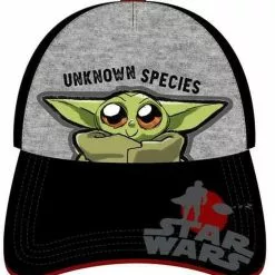 Accessory Innovations Company Star Wars The Mandalorian The Child Unknown Species Baseball Hat