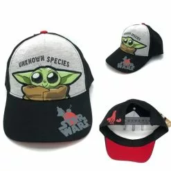 Accessory Innovations Company Star Wars The Mandalorian The Child Unknown Species Baseball Hat -Bioworld Shop AIC F20MN47157 CC