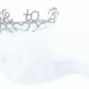 Elope Bride To Be Veil & Sparkle Tiara -Bioworld Shop ELP 152100 CA