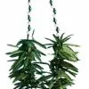 Forum Novelties Green Leaf Beads Costume Necklace One Size -Bioworld Shop FRM 69725 CA