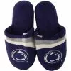 Forever Collectibles Penn State Quakers Glitter Stripe Slide Slipper Adult -Bioworld Shop FVC 12002 CA