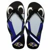 Forever Collectibles Baltimore Ravens NFL 8-16 Youth Mascot Flip Flops -Bioworld Shop FVC KDNF13MS816BRV CA 80d149ba 4c9a 41f6 bee1 434d8898ca24