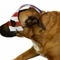 NECA KickAss 2 Eisenhower's Dog Costume Mask -Bioworld Shop NEC 12079 CC