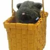 Rubies The Wizard Of Oz Toto In The Basket Costume Accessory -Bioworld Shop RUB 511 CA