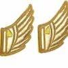 Shwings Shoe Accessories: Gold Foil Wings Slotted -Bioworld Shop SHW 20101 CA