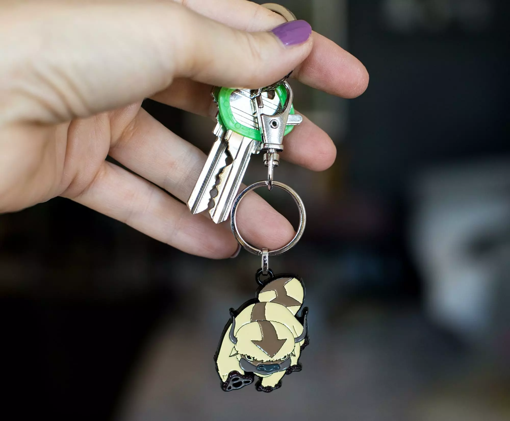 SalesOne LLC Avatar: The Last Airbender Appa Enamel Pendant Keychain 7 SalesOne LLC Avatar: The Last Airbender Appa Enamel Pendant Keychain - Image 5