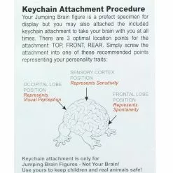 Toy2R Jumping Brain Series 2" Figure With Keychain Single Random Figure -Bioworld Shop T2R 41333 CC