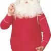 Ruby Slipper Sales Co., LLC (Rubies) Santa Costume Belly